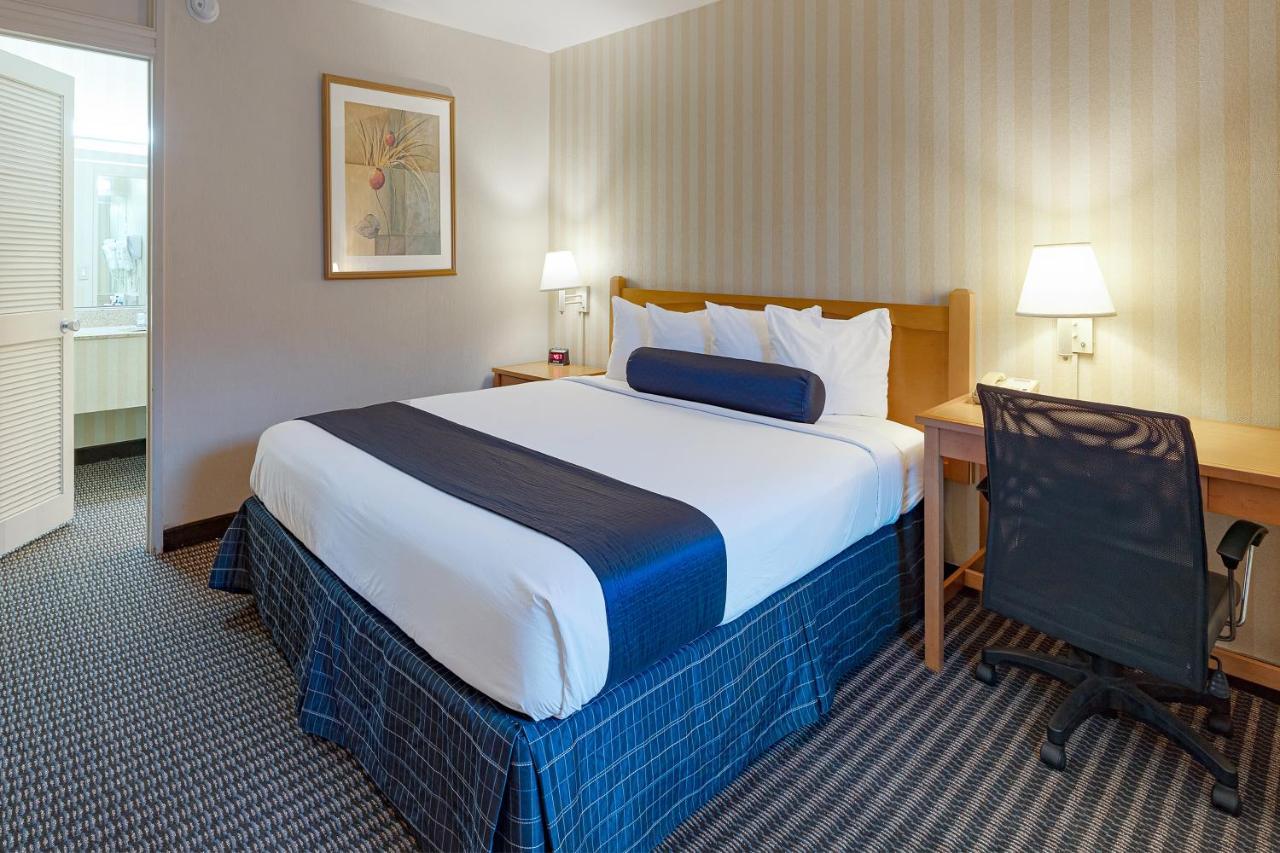 Travelodge By Wyndham פאלם ספרינגס מראה חיצוני תמונה